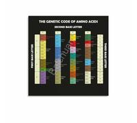 XGINERFEX Science Decor Canvas Print Genetic Code for Amino Acids Biology Chart Poster for Home Office Library(Unframed,08x12inch(20x30cm))