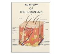 XGINERFEX Skin Structure and Anatomy Poster for Esthetician Knowledge and Clinic Wall Decor(Framed,16x24inch(40x60cm))