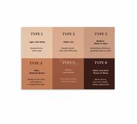 XGINERFEX Skin Types Chart Poster Fitzpatrick Scale Classification Educational Canvas Wall-Art Print for Esthetician School Office Home Decor(Unframed,12x18inch(30x45cm))