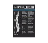 XGINERFEX Spinal Health Guide Vertebral Subluxation Nerve Function Anatomy Poster for Home Office Clinic Wall-Art(Unframed,16x24inch(40x60cm))