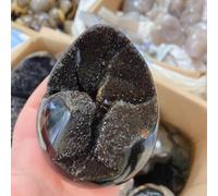 XGINERFEX Stone 900-1.1kg Curvature of The Furnishing Articles Turtle Grain Egg Ball Septarian Nodule Crystal Quartz Gemstone Stone
