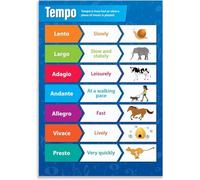 XGINERFEX Tempo Music Theory Poster Educational Classroom Wall-Art Chart for Music Teachers Band Room Home Studio Decor(Framed,16x24inch(40x60cm))