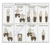 XGINERFEX Traditional Exercises Poster Ba Duan Jin Brocade for Mind Body Wellness Room Decor(Unframed,08x12inch(20x30cm))