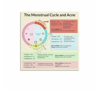 XGINERFEX Understanding the Menstrual Cycle Poster Hormone Level Chart Educational Womens Health Wall-Art for Clinic Study Room Decor(Unframed,08x12inch(20x30cm))