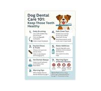 XGINERFEX Veterinary Clinic Wall-Art Dog Care Health Guide Educational Canvas Poster for Pet Hospital Decor(Unframed,08x12inch(20x30cm))