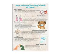 XGINERFEX Veterinary Dog Care Guide Poster Pet Health and Wellness Wall-Art Canvas Print for Hospital Home Bedroom Decor(Unframed,08x12inch(20x30cm))