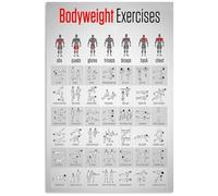 XGINERFEX Vintage Fitness Tin Poster - Bodyweight Exercises & Knowledge Chart, Retro Gym Wall-Art for Men‘s Room, Basement or Club(Unframed,08x12inch(20x30cm))