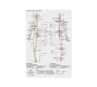 XGINERFEX Vintage Style Chinese Medicine Poster Acupuncture Points Meridians Five Elements Theory Chart Educational Art for Study Clinic Office Library Decor(Unframed,16x24inch(40x60cm))