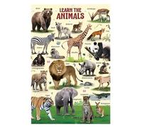 XGINERFEX What's Your Favorite Wild Animal? Educational Poster - Interactive Wildlife Chart for Circle Time, Library, or Early Childhood Class(Framed,16x24inch(40x60cm))