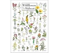 XGINERFEX Wildflowers of the Midwest Identification Poster, Native Prairie Plant Guide with Bloom Times, Educational Wall-Art for Classroom Home School Decor(Unframed,08x12inch(20x30cm))