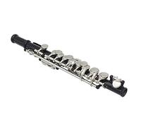 XGMTHBDD Instrumento Piccolo 16 Teclas De C Piccolo, con Estuche Rígido, Varilla De Limpieza, Paño, Garantía De Sonido, Instrumento Musical Piccolo, For Estudiantes Principiantes