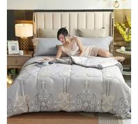 XHCTNN EdredóN de Seda de Morera Pura TamañO Queen, EdredóN de Relleno de Seda de Morera 100% de Invierno, EdredóN Acolchado de Ropa de Cama de Lujo Manta de Tela de AlgodóN(H,220 * 240cm/3kg)