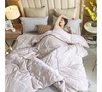 XHCTNN EdredóN de Seda de Morera Pura TamañO Queen, EdredóN de Relleno de Seda de Morera 100% de Invierno, EdredóN Acolchado de Ropa de Cama de Lujo Manta de Tela de AlgodóN(C,220 * 240cm/5kg)