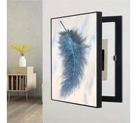 Xiao Ren Tapa Contador Eléctrico Interior, Cuadro Oculto para Centralita, Vertical, Apto para Comedor, Salón Y Dormitorio,B,35 x 45 cm