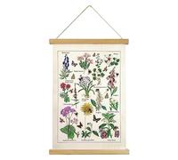 XIAOAIKA Póster de flores y plantas, impresiones artísticas de pared HD vibrante estilo rústico colorido de flores para colgar en la pared, póster ilustrativo de referencia con marco de madera para sala de estar, oficina, dormitorio (15.7 x 22.8 pulgadas) (flor de mariposa de abeja, 15.7 x 22.8 pulgadas)