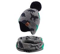 XIAOHAWANG Gorro de punto para bebé cálido de invierno para niños y niñas, con forro polar y pompón, Sombrero de dinosaurio gris+bufanda, 9-24 Meses