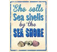 XIAOQIU Letrero de metal con texto en inglés "She Sells Sea Shells by The Sea Shore Ocean Waves Beach" para decoración de pared, 20 x 30 cm