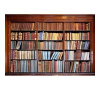 Xiaoterna 1,5x1m Clásico Libros Biblioteca de Madera Libros Clásicos Biblioteca Escolar Estantería de Madera Fondo Fotográfico Retro Biblioteca estantería de Fondo Adulto Retrato Foto Atrezzo