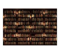 Xiaoterna 2,2x1,5m Antiguo Librería Fondo Fotográfico Biblioteca Antigua Estantería Fotografía de Fondo Biblioteca Real Medieval Estantería Vista Nocturna Telón de Fondo Retrato Foto Estudio Atrezzo