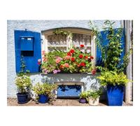 Xiaoterna 2,2x1,5m Europa Ciudad Telón de Fondo Primavera Rosa Flores Rojas Ventana Fotografía Fondo Romántico Primavera Calle Blanco Pared Telón de Fondo Niños Adultos Retrato Foto Estudio Atrezzo