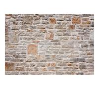 Xiaoterna 2,2x1,5m Fondo de Pared Rústico Antiguo Muro Granja Piedra Pared de Ladrillo Marrón Fondo Fotográfico Vintage Medieval Piedra Pared Telón de Fondo Retrato Foto Estudio Atrezzo