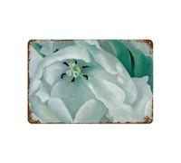 xiaoxiaoshen Póster de metal con diseño de Georgia O'Keeffe (50) de American Artist Georgia O'Keeffe (50)