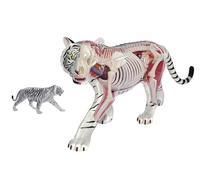 Xiaoxu Modelo de anatomía de Tigre con visión 4D, Modelo de Esqueleto de Inteligencia de Tigre con 28 órganos y Partes del Cuerpo Totalmente Desmontables, Rompecabezas Tridimensional.