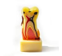 Xiaoxu Modelo de Caries Dental, Modelo de anatomía Dental, Problemas dentales, Dientes orales integrales para la enseñanza Escolar e investigación.