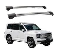 XIAOYANS Barras Techo para HAVAL H9 2024+ Barras Laterales Aleación Aluminio Barras Transversales Portaequipaje Carga Equipaje 100KG Barras Techo SUV 2 Piezas(C)