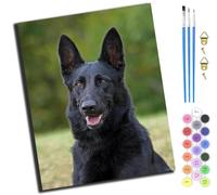 XIAOYOUQIAN Black German Shepherd,Pintura Por Números Para Adultos Y Niños,Kit De Pintura Por Números Con Pinceles Y Pinturas,Cuadros Para Pintar Por Numeros,40 * 50 Cm，Sin marco