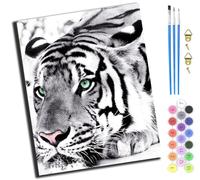 XIAOYOUQIAN Dragonfly And White Tiger,Juego De Pintura Por Números Para Adultos,Lienzo De Pintura Al Óleo Con Pinceles Y Pintura,Como Regalo De Decoración Del Hogar,40 X 50 Cm,Sin marco
