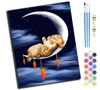 XIAOYOUQIAN Rabbit Animal On The Moon,Pintar Por Numeros Para Adultos,Pintura Por Números Niños Con Pinceles Y Pinturas,Diy Pintura Al Óleo Para El Hogar Regalo,40X50Cm,Con Marco