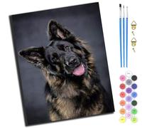XIAOYOUQIAN Slanted-Eyed German Shepherd,Pintar Por Numeros Adultos,Diy Pintura Por Números,Kit De Pintura Al Óleo De Lienzo Diy Para Con Pinceles,Pigmento Acrílico,40 X 50Cm,Con Marco