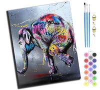 XIAOYOUQIAN Street Graffiti Art Cute Elephant,Pintar Por Numeros Adultos,Paint By Numbers Adult,Pintura Por Numeros,Lienzos Para Pintar Acrilico Niños Con,40 X 50Cm,Sin marco