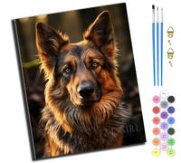 XIAOYOUQIAN Sunshine Dog German Shepherd,Pintar Por Numeros Adultos,Diy Pintura Por Números，Con Pinceles Y Pintura Acrilica,40X50 Cm,Sin marco