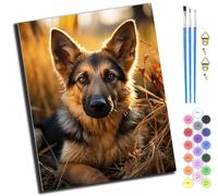 XIAOYOUQIAN Sunshine Dog German Shepherd,Pintura Por Números,Diy Kit De Pintar Con Números,40X50Cm,Pintura Al Óleo De Lienzo Con Pinceles Y Pigmento Acrílico Para Adultos Y Niños，Sin marco