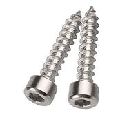Xiedeai Ferretería Herramienta Clavos Tornillo Autorroscantes - Acero Inoxidable Cabeza Allen Tornillos Hexagonales Tornillos de Madera M4 M5 M6
