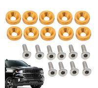 Xijobido Tornillos Para Marcos De Matrícula | Hardware De Montaje De Placa De Vehículo - Kit de Fijación M6 para Matrículas Delanteras y Traseras de Coche, Camión y Moto