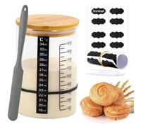 XILENY Juego de tarros de masa madre de 900 ml con recipiente de cristal, cuchillo de silicona, papel termómetro, cinta métrica, bolígrafo, pegatinas, para hornear pan de levadura