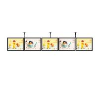 XILYZMO Marco Delgado A Presión Caja Luz LED, Restaurante Cartel Iluminado Exhibidor Retráctil Aleación Titanio LED Retroiluminado Tablero Menú Montaje Pared Caja Luz Ultrafina(B-250x40cm)