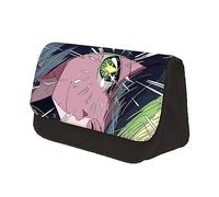 Xinchangda Oshi No Ko - Estuche de lápices de dibujos animados de anime Hoshino Ai caja de lápices de gran capacidad para estudiantes y adolescentes, tipo 1, 22x7.5x13CM