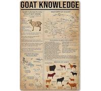 XingFox Infografía de planificación de cabras para cafeterías, hogares, salas de estar, dormitorios, cocinas, jardines, garajes, cafeterías, bares y pubs. Letrero de hojalata de 8 x 12 pulgadas.