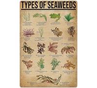 XingFox Tipos de algas marinas. Cartel de hojalata informativo. Póster de divulgación científica. Ideal para escuelas, granjas y jardines. 20x30 cm (8x12 pulgadas).