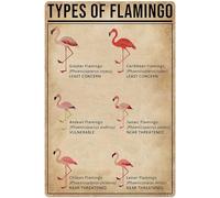 XingFox Tipos de flamencos: Letrero de hojalata. Información sobre divulgación científica. Póster para escuela, granja o jardín. Hoja informativa. Decoración para bar, club o hogar. 8x12 pulgadas.