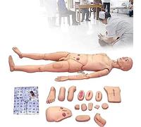 XINGLUOY Maniquí de Entrenamiento de tamaño Natural, maniquí de PVC Masculino/Femenino for atención al Paciente, for práctica de Entrenamiento de Habilidades de enfermería Profesional - 175 cm