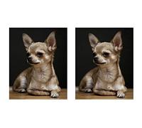 Xiniy 2X Diamante Redondo Completo Bordado Chihuahua, Pintura de Diamante 5D, Perro Mascota Imagen de Diamante de Diamantes de Imitación Decoración del Hogar