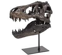 XINLEE Estatua De Calavera De Dinosaurio, Modelo A Escala 1/10 De Tiranosaurio Rex, Escultura De Resina De Calavera, Estatua con Forma De Dinosaurio Realista, Adorno De Escritorio,18 * 11 * 13cm