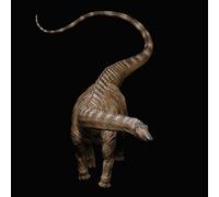 XINPANYIAN REBOR 1:35 - Modelo de dinosaurio femenino Diplodocus carnegii Catch The Rainbow Museum versión lisa