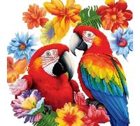 Xinpinzhou Kit Punto de Cruz con Hilos y Tela Impresa Loro Animal, Cuadros en Cross Stitch Embroidery Bordar Punto de Cruz Kit Bordado Completo Esquemas para Principiantes Patrones Contado