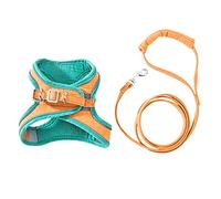 Xinsheinelry Arnés para gatos y perros con correa de plomo, chaleco ajustable, arnés transpirable, tira reflectante para perros pequeños, gatos, arnés de aire acondicionado, a prueba de escapes